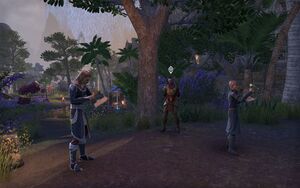 ON-quest-The Stirk Fellowship 05.jpg