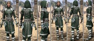 ON-item-armor-Homespun-f-Stalhrim Frostcaster Style.jpg