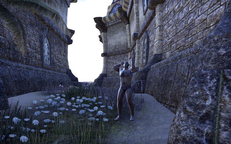 Файл:ON-quest-Monkey Magic.jpg