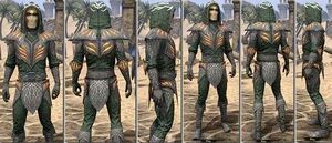 ON-item-armor-Homespun-m-Hollowjack Style.jpg