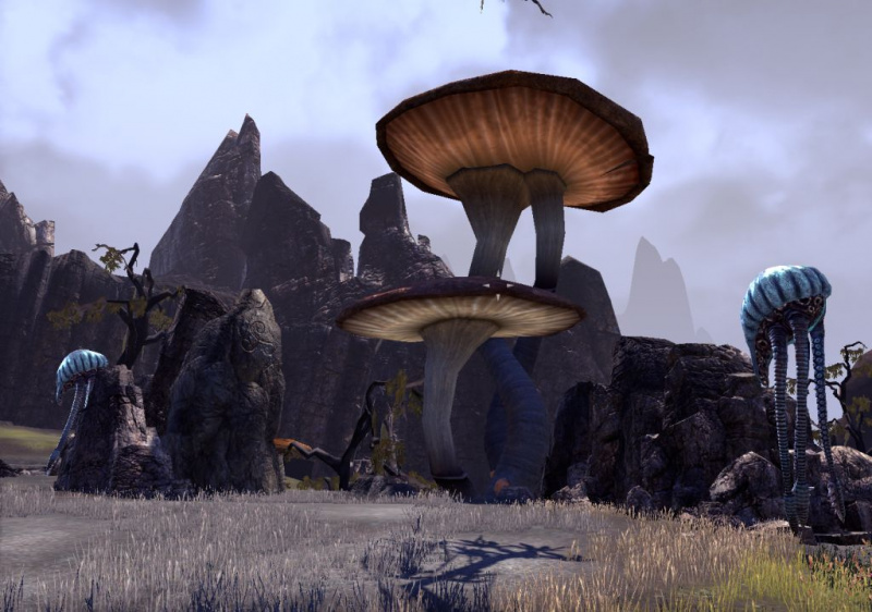 Файл:ON-place-Bal Foyen 01.jpg