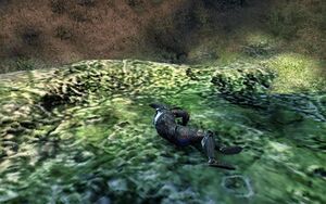 ON-quest-A Paralyzing Lesson 01.jpg