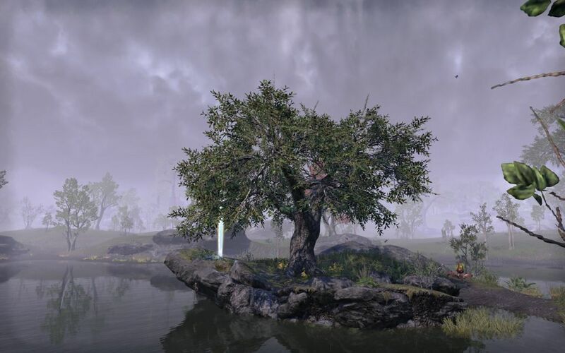 Файл:ON-place-10-Blackwood Skyshard.jpg