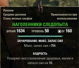 ON-item-Tracker's Chausses.jpg