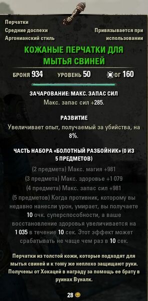 Файл:ON-item-Leather Hog Scrubbers.jpg