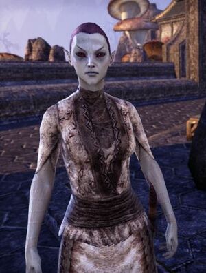 ON-npc-Farseer Tirinaat.jpg