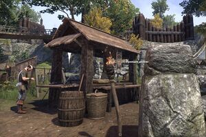 ON-place-Wounding Wood.jpg