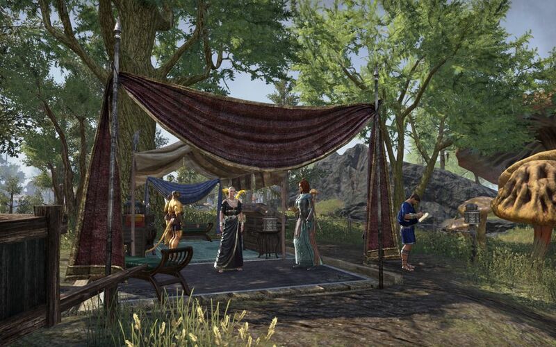 Файл:ON-place-Event Exchange (Vvardenfell) 01.jpg