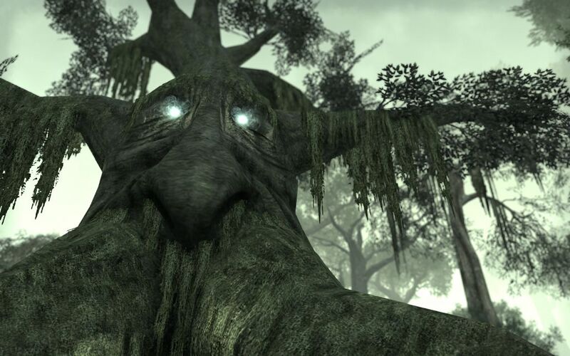 Файл:ON-quest-Bosmer Insight.jpg