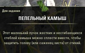 ON-quest-The Sapling 05.jpg