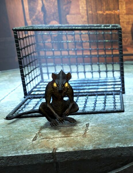 Файл:ON-npc-Arox the Mutilator.jpg