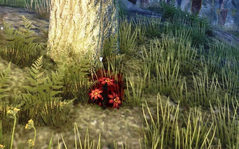 Файл:ON-quest-Sanguine's Solace.jpg