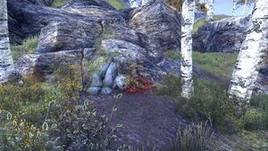 ON-interior-Jerall Mountains Logging Track 03.jpg