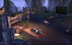 ON-quest-Scars Never Fade 04.jpg