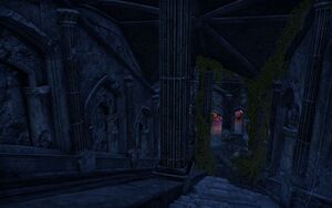 ON-place-Cathedral of Webs 01.jpg