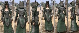 ON-item-armor-Homespun-f-Skinchanger Style.jpg