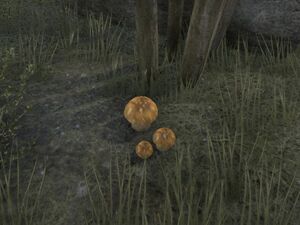 ON-node-Imp Stool.jpg