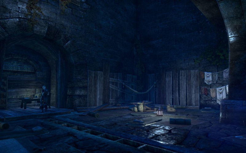 Файл:ON-interier-Elven Gardens Safe House 02.jpg