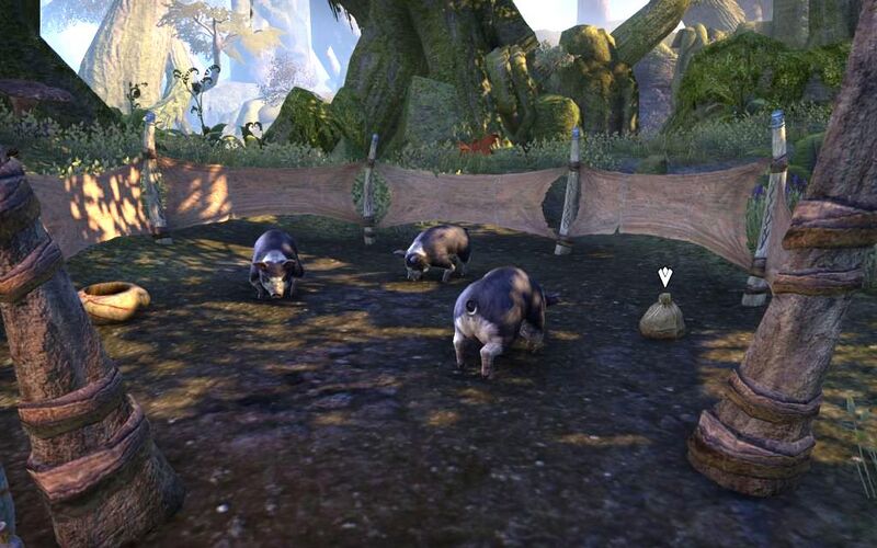 Файл:ON-quest-Nature's Best Friend 05.jpg