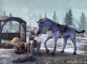 ON-icon-store-Pack Horseback riding.jpg