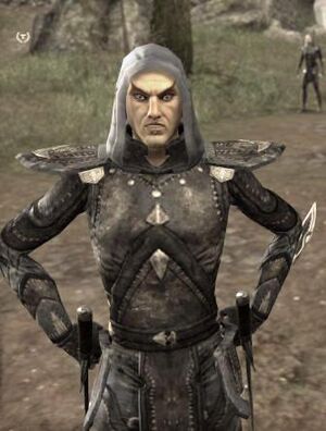 ON-npc-Commander Parmion.jpg