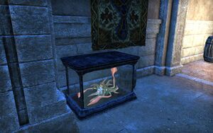 ON-place-The Collector's Villa 08.jpg