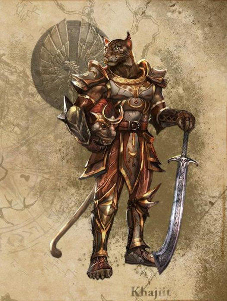 Файл:ON-Armor-concept-Khajiit Style.jpg