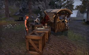 ON-interier-Crossroads Encampment.jpg