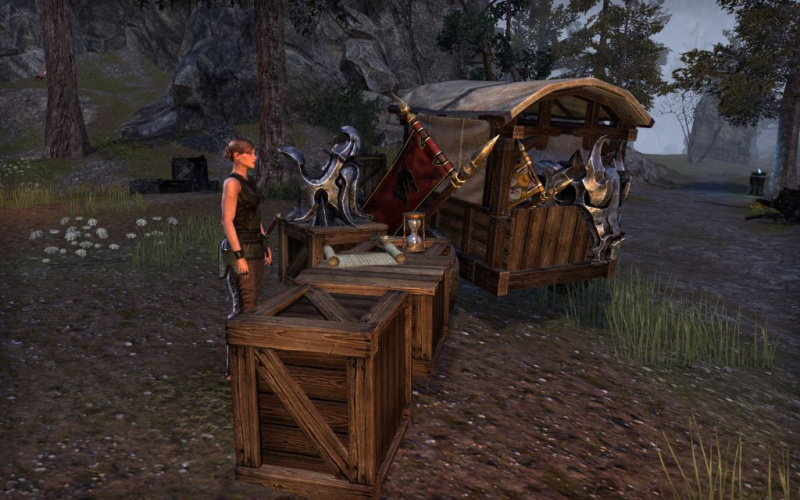 Файл:ON-interier-Crossroads Encampment.jpg