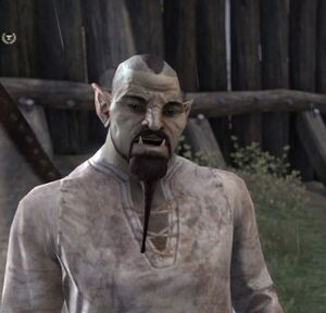 ON-npc-Garmeg the Ironfinder.jpg