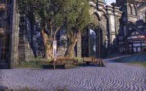 ON-place-Baandari Caravan (Wayrest).jpg