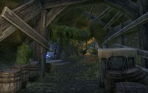 ON-place-ON-interior-The Roots of Silvenar 01.jpg