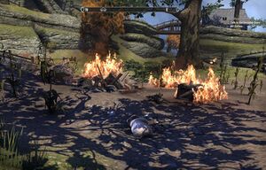 ON-quest-Fire in the Fields 04.jpg