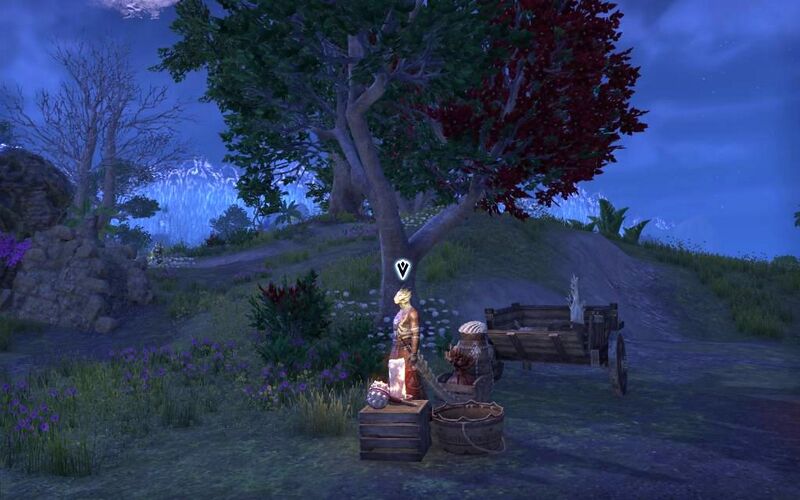 Файл:ON-quest-A Death-Dancer's Duty.jpg