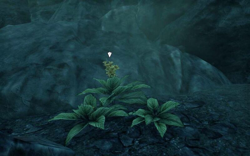 Файл:ON-quest-Flowers in the Folly 03.jpg